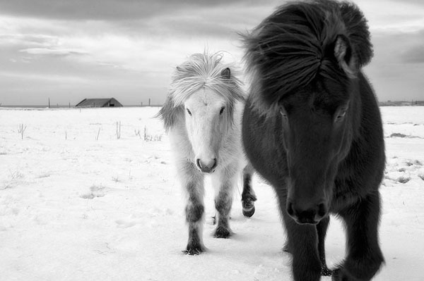 Photograph Johannes Frank Johannesson White Follow on One Eyeland
